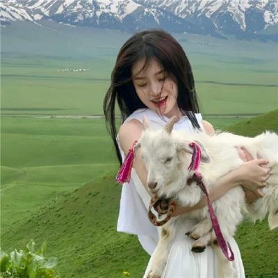 贝尔斯通之狐