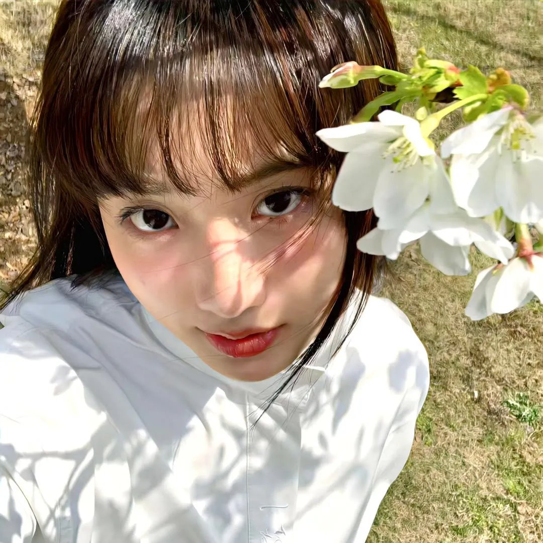 春光乍现